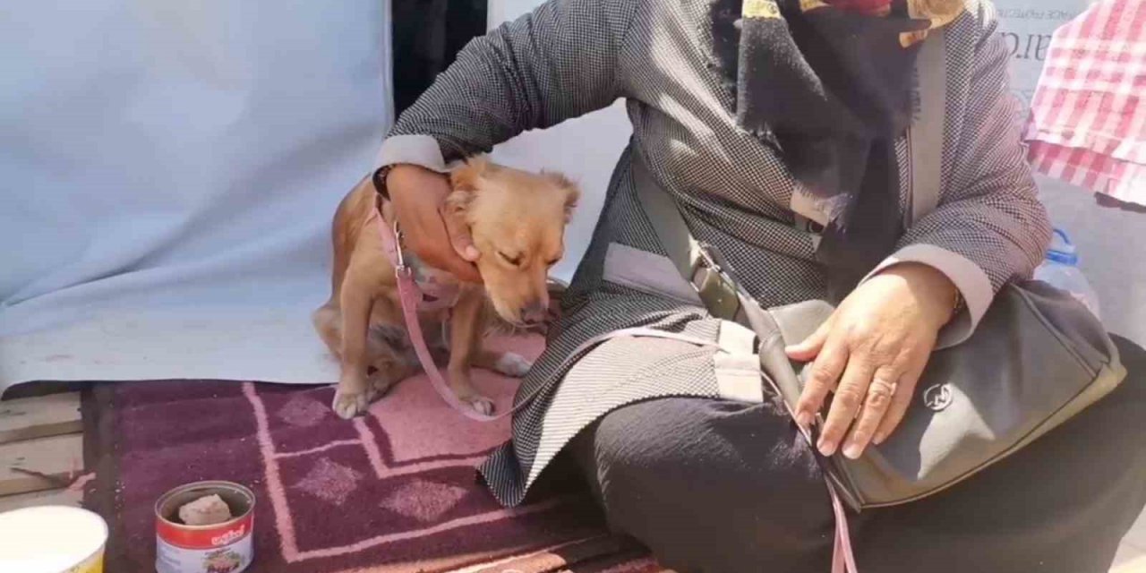 Kahramanmaraş’ta depremde kendisini kurtaran köpeğiyle beraber çadır kentte yaşamını sürdürüyor