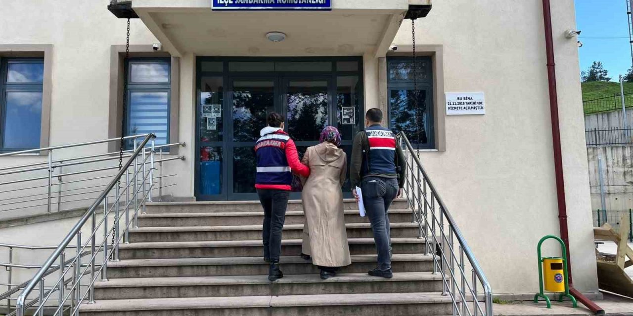 Bolu’da FETÖ operasyonu: 1 gözaltı