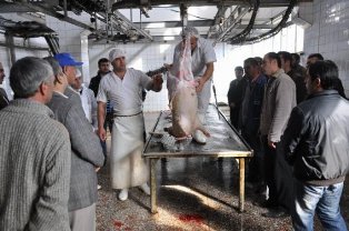 Kurbanlıklara ''nazik davranın'' uyarısı