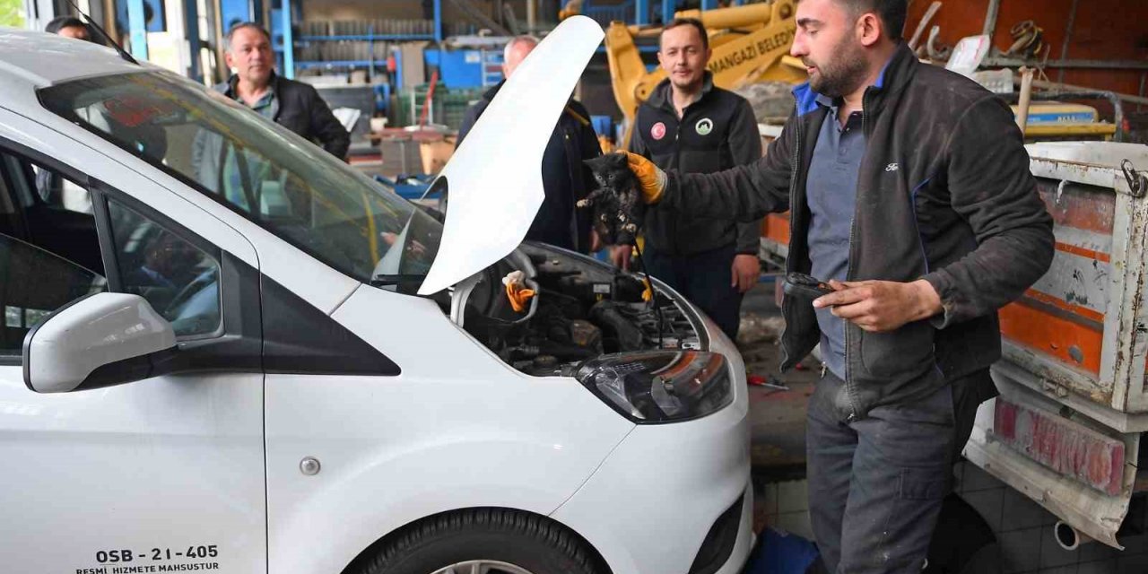 Motora sıkışan kedi için seferberlik