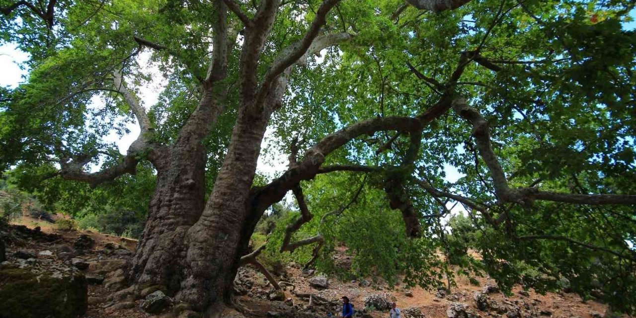 Bayram tatilinin gözdesi Çameli oldu