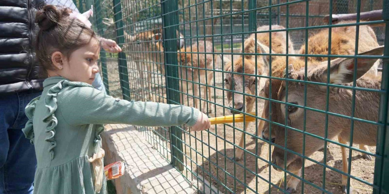Keçiören Belediyesi Doğal Yaşam Parkına yoğun ilgi