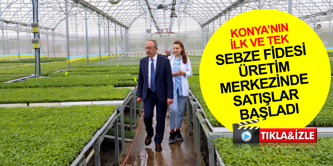 Konya’nın ilk ve tek sebze fidesi üretim merkezinde satışlar başladı! Çiftçi maliyetten kaliteye kârda