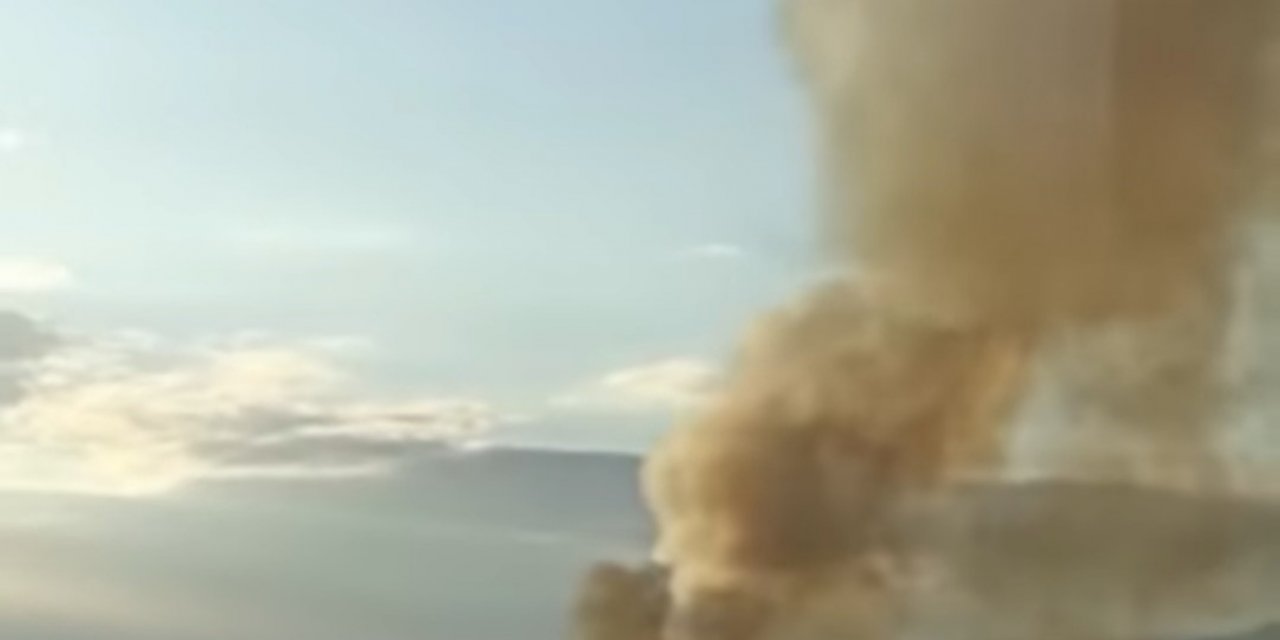 Van’da sazlık alanda yangın