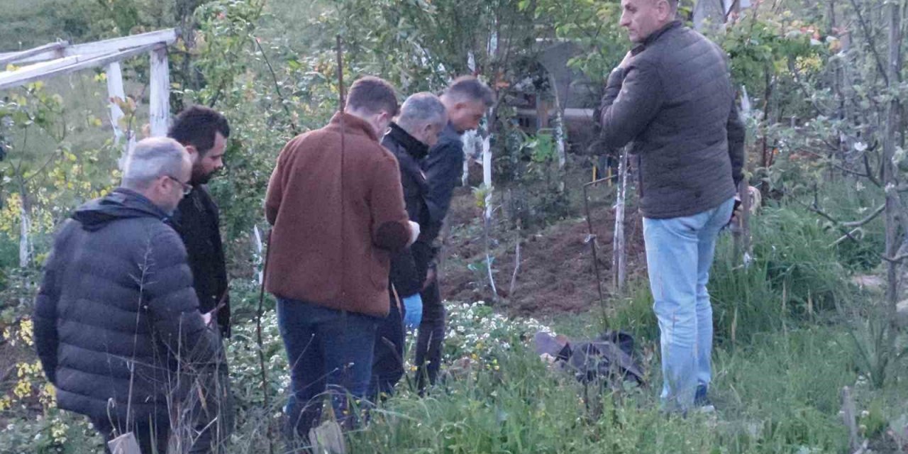 Bahçede çalışırken hayatını kaybetti