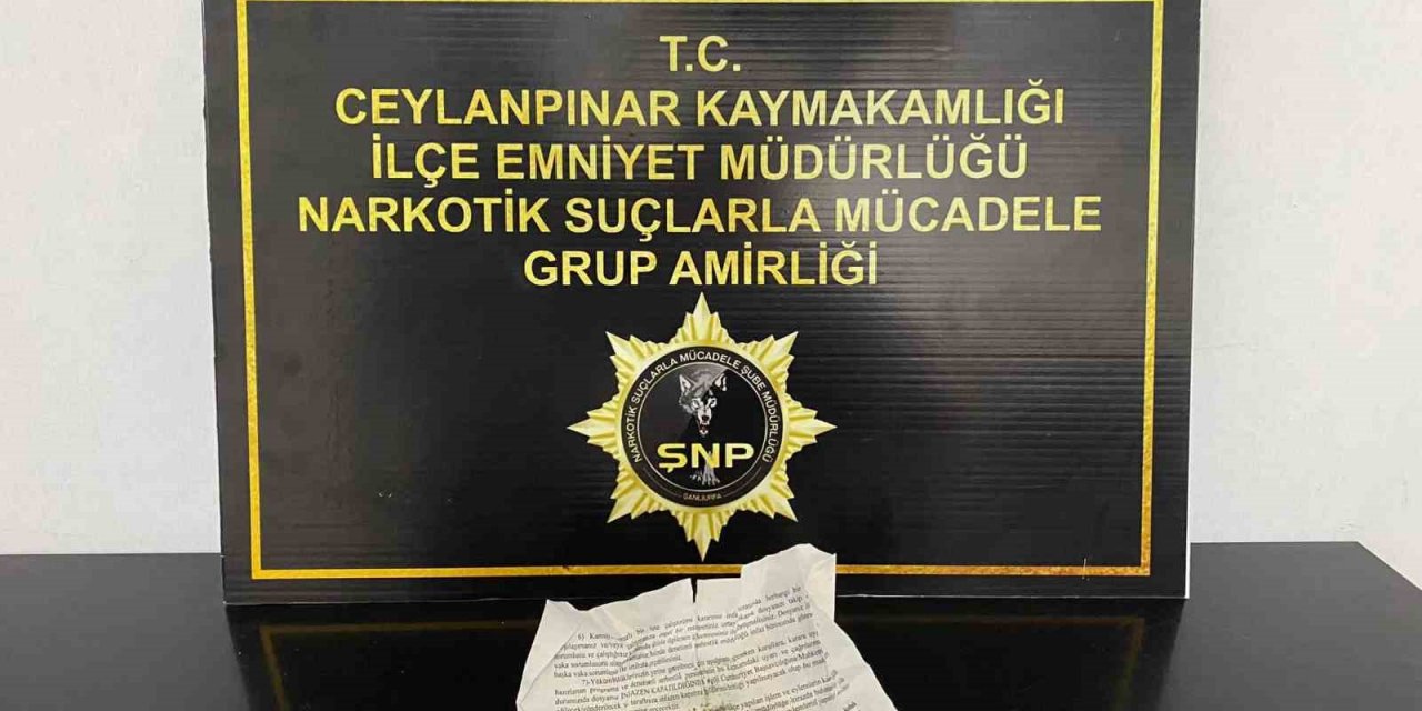 Polisten uyuşturucu serasına operasyon