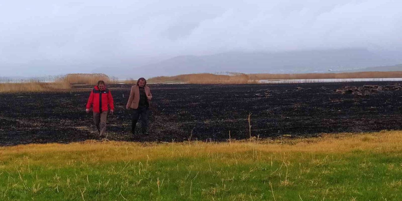 Sazlık yangınları ekolojik dengeyi bozuyor