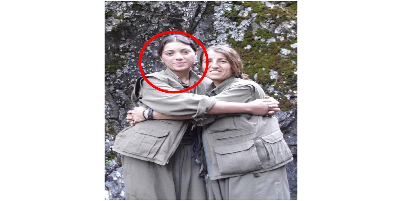 PKK’nın kırsal alan yapılanmasına katılan Yeşil Sol Parti milletvekili adayı İstanbul’da yakalandı