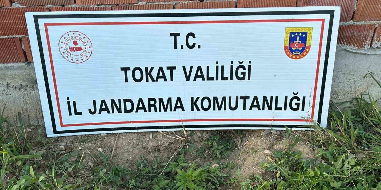 Tokat’ta 188 kök kenevir ele geçirildi