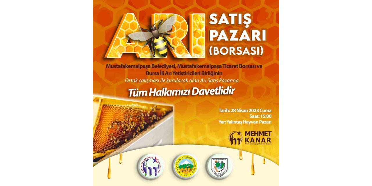 Türkiye’nin ilk arı pazarı Bursa Mustafakemalpaşa’ya kurulacak