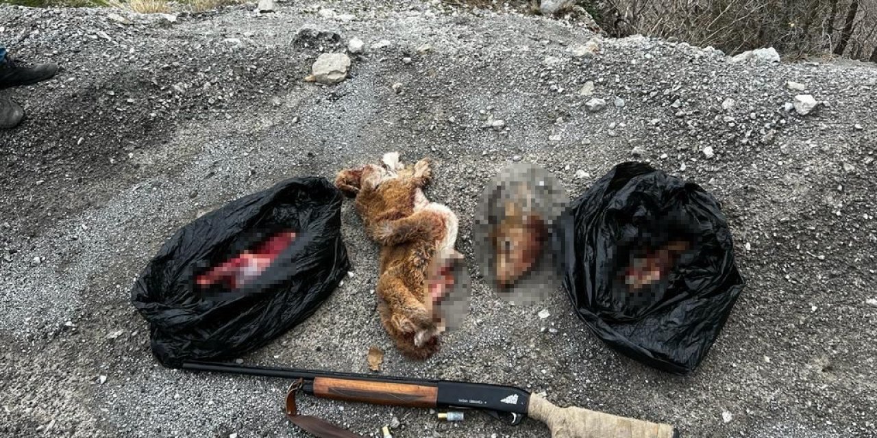 Yaban keçisi avlayan 2 kişiye 265 bin lira ceza