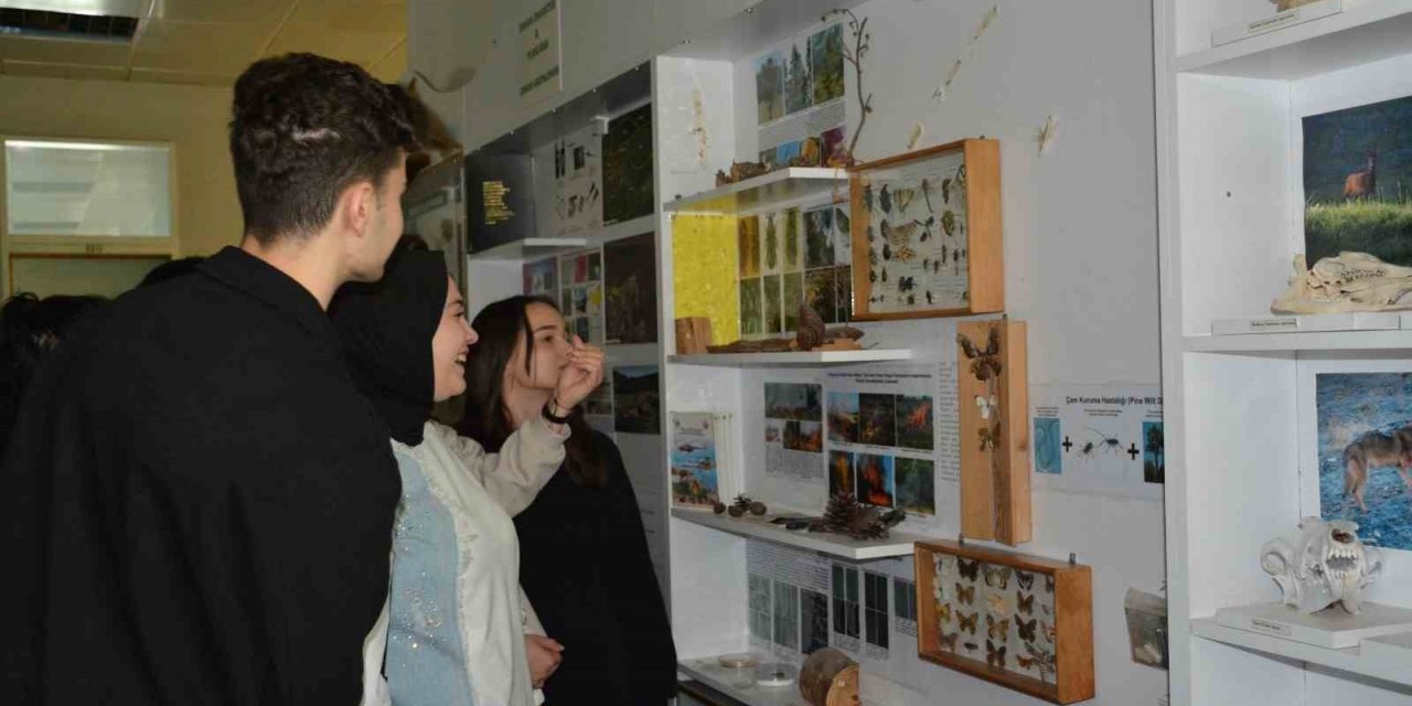 Liseliler Düzce Üniversitesi’nde