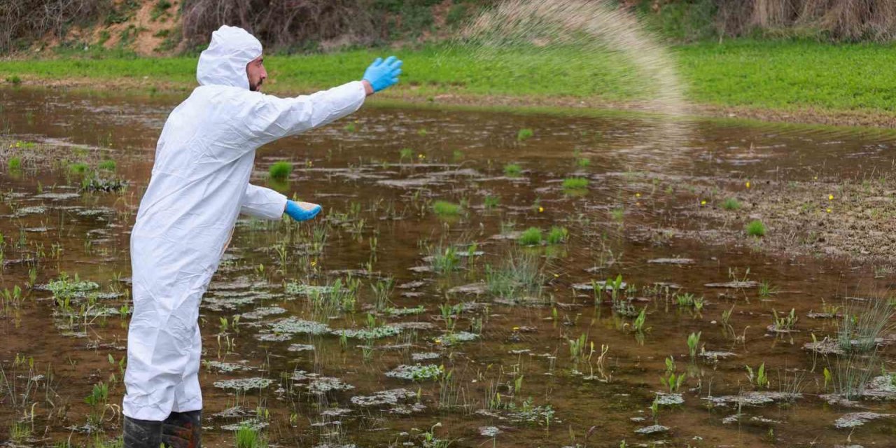 Sağlıklı yaz için larvasit çalışmaları sürüyor