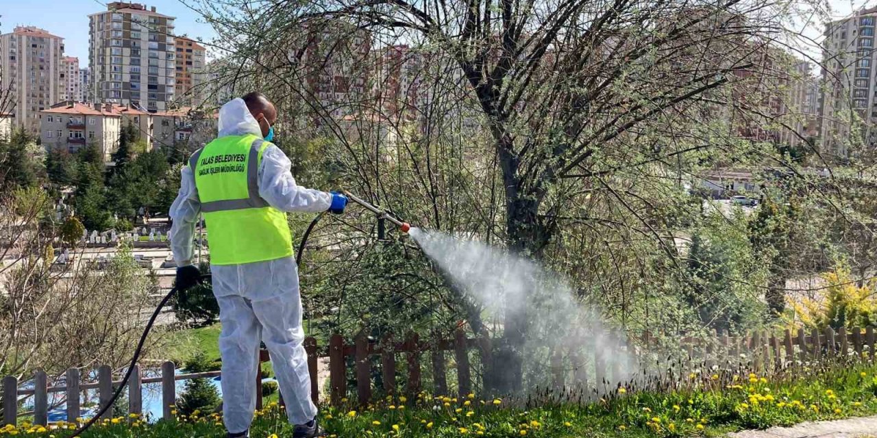 Talas’ta sinek ve haşerata erken önlem