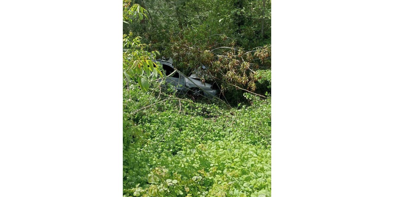 Direksiyon hakimiyetini kaybetti, uçuruma uçtu