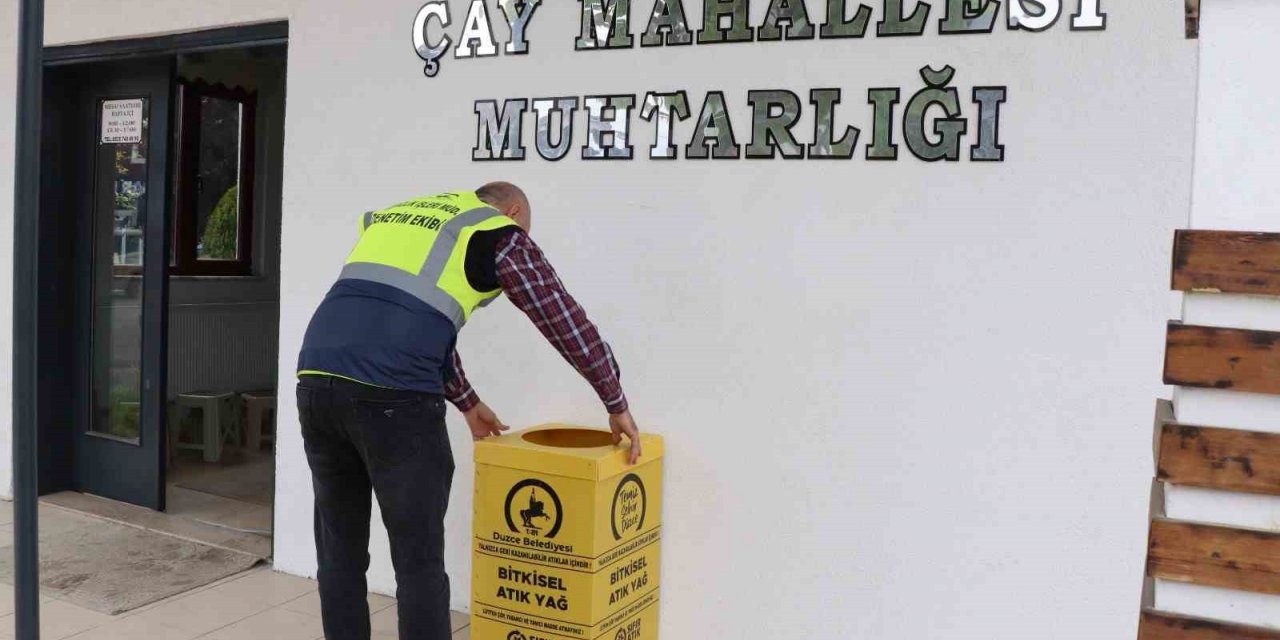 Bitkisel atık yağlar denetim altında