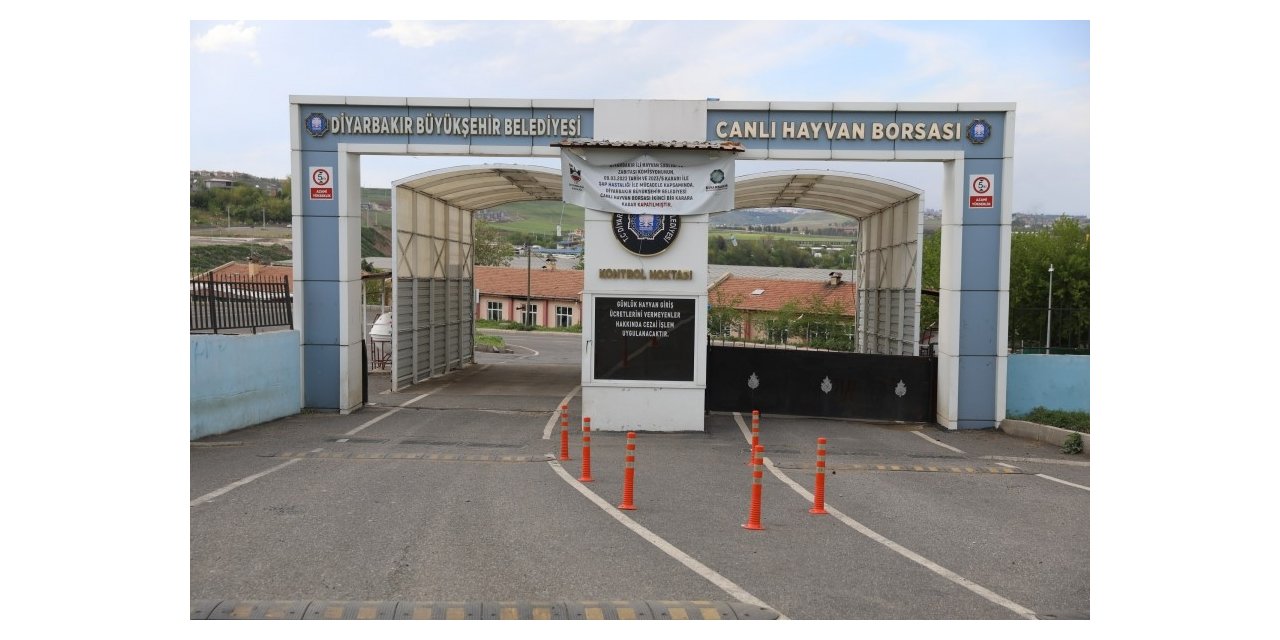 Şap nedeniyle geçici olarak kapanan Diyarbakır Canlı Hayvan Borsası yeniden açılıyor