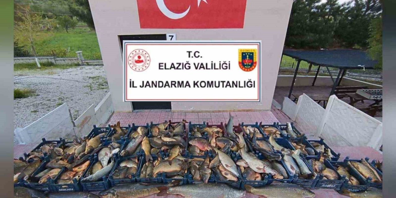 Elazığ’da kaçak balık avına 16 bin lira ceza