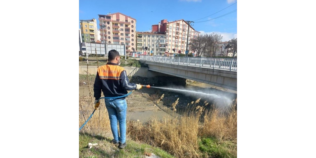 Sungurlu’da vektörel mücadele sürüyor