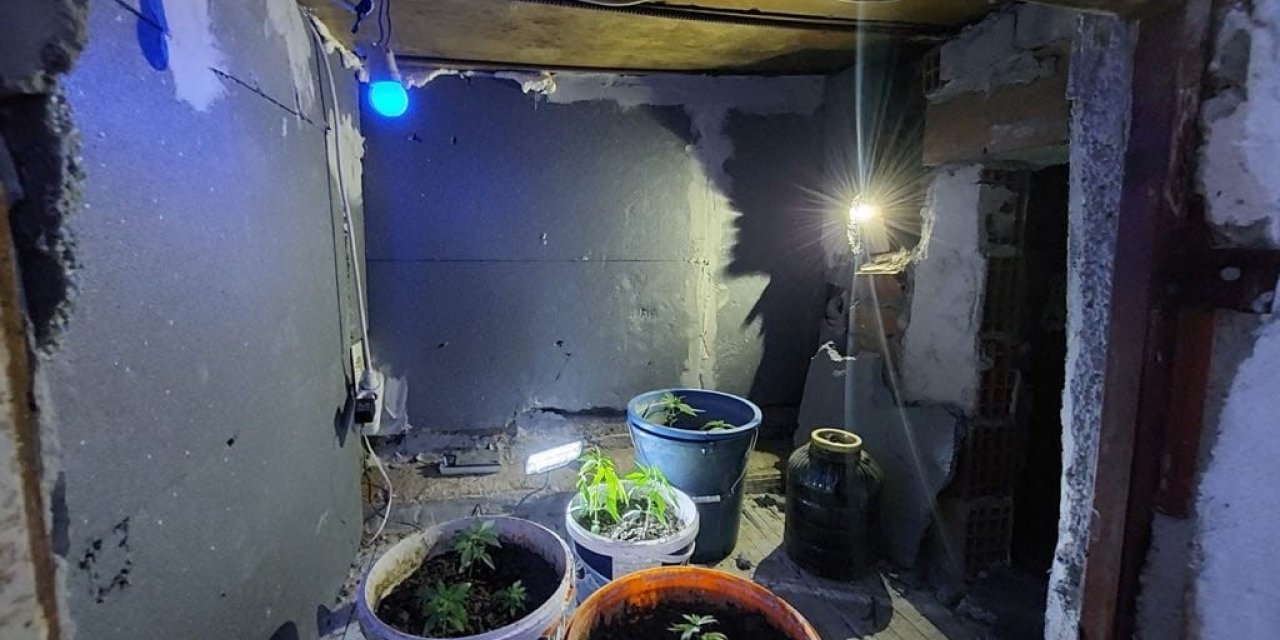 Çatı katında kenevir yetiştiren iki kişi yakalandı