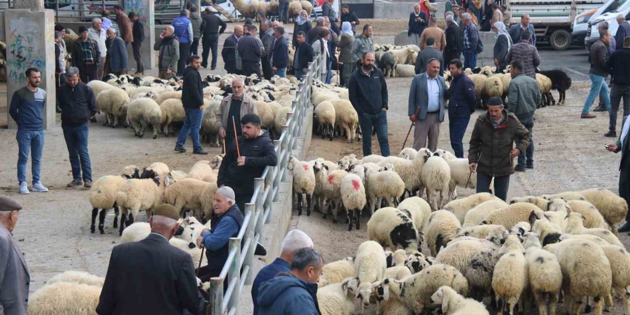 Et fiyatında düşüş bekleniyor