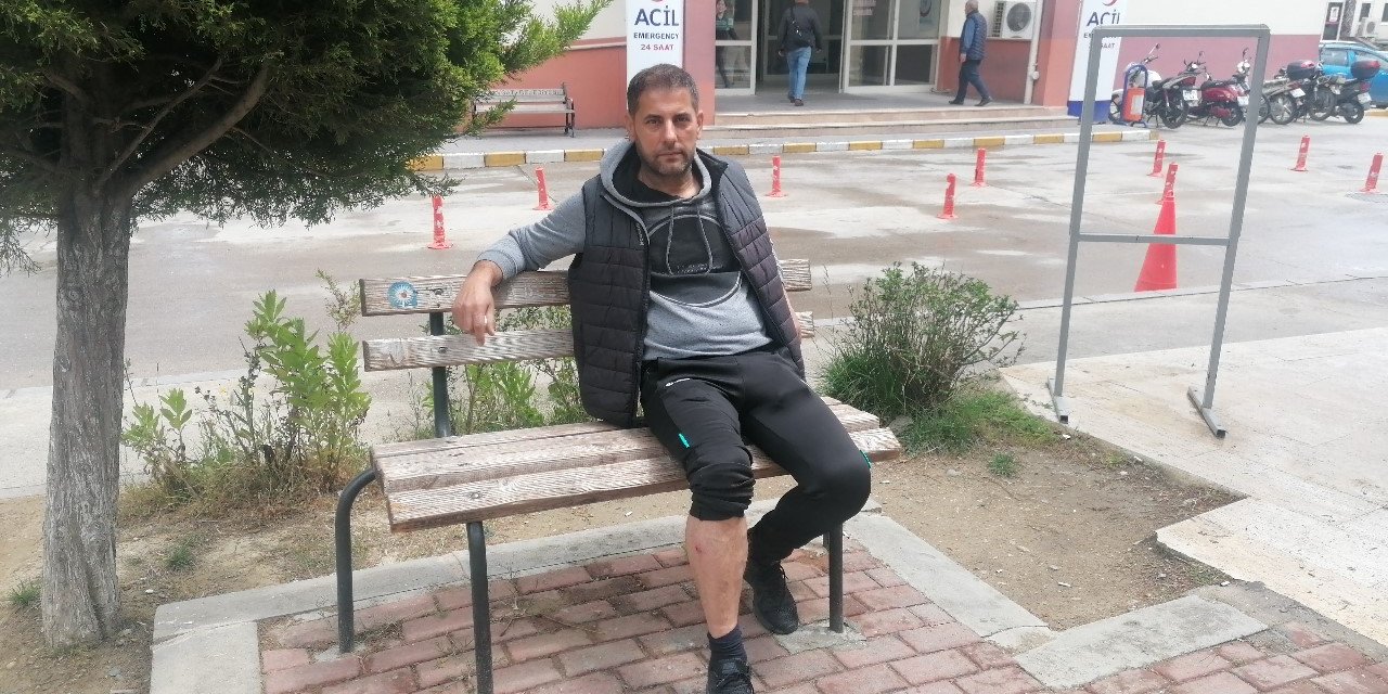 Seçmen bilgi kağıdı dağıtan muhtar, sokak köpeklerinin saldırısına uğradı