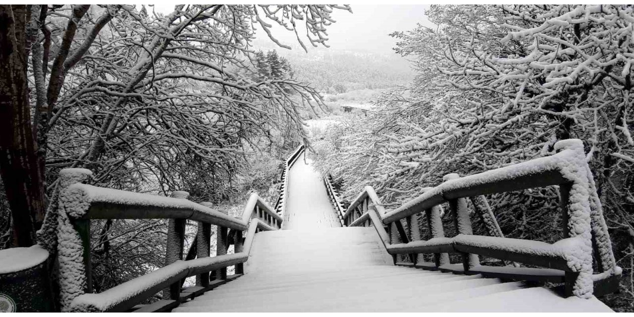 Abant, Nisan ayında beyaz örtüyle kaplandı