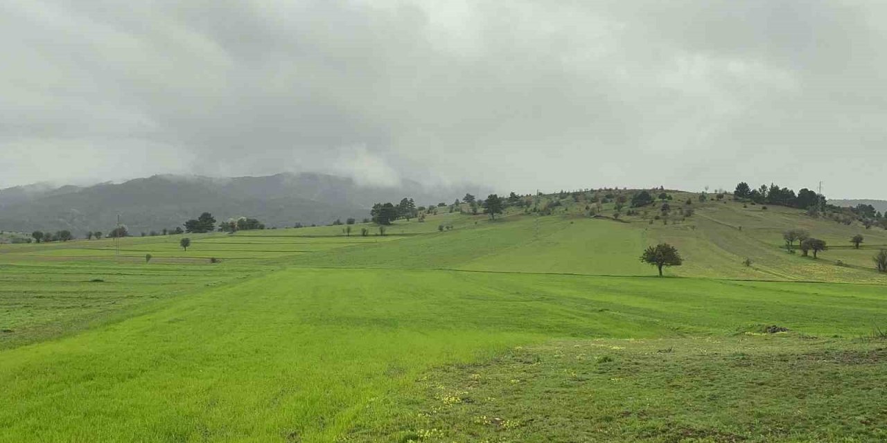 Baharda sisle buluşan Ilgaz Dağı’nın eteklerinde ortaya çıkan manzara mest etti