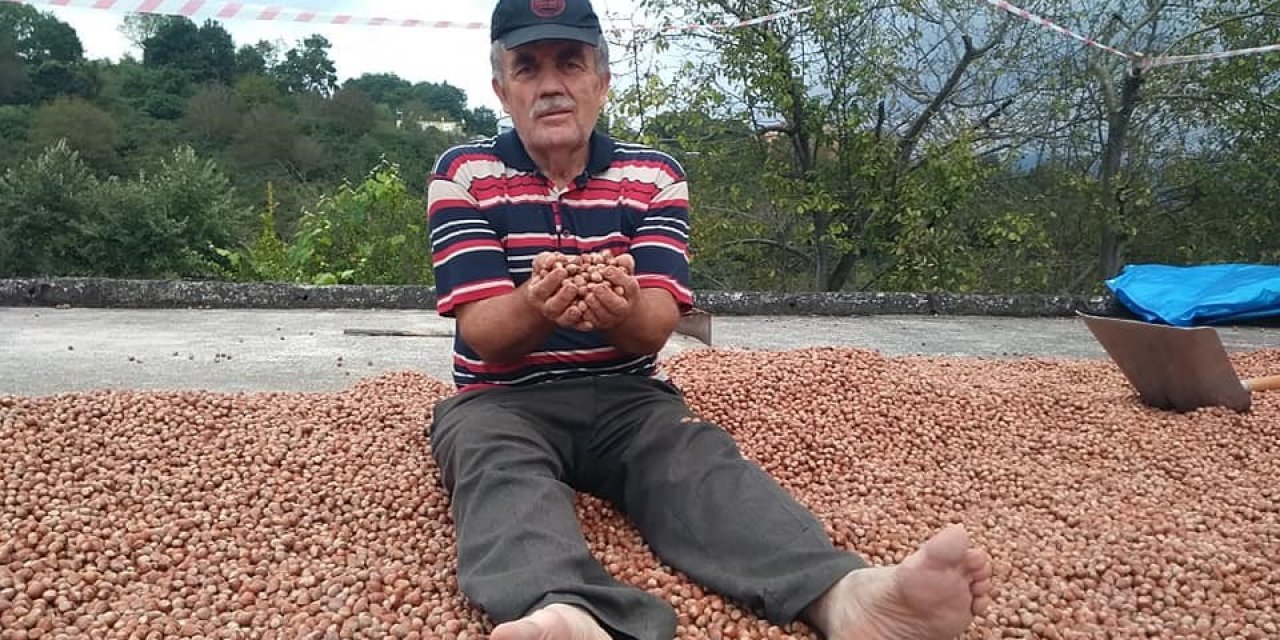 Fındık fiyatları yerinde sayıyor