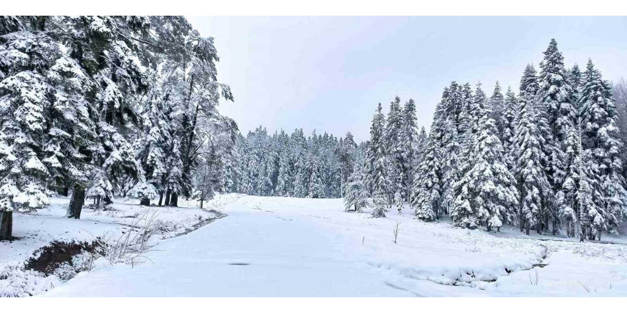 İlkbaharın ortasında kar sürprizi