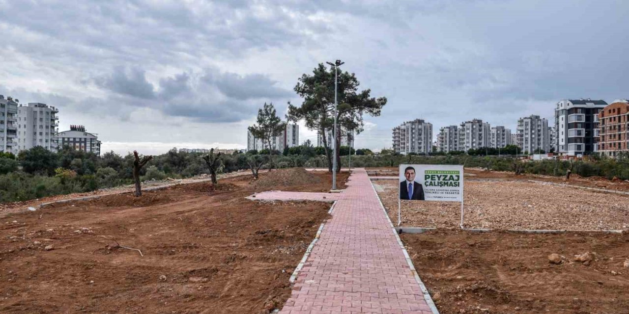 Kepez Çankaya’ya zeytin temalı park