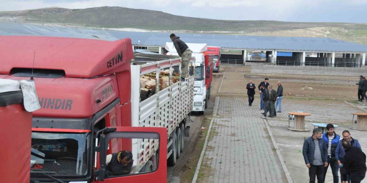Kars’ta Hayvan Pazarı’nda ilk gün bereketi