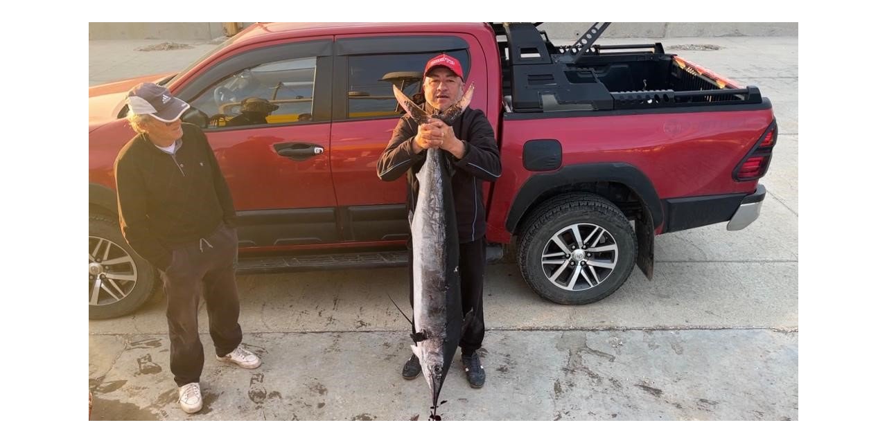 Gökçeada açıklarında 2 metre boyunda, 50 kiloluk Merlin balığı vurdu