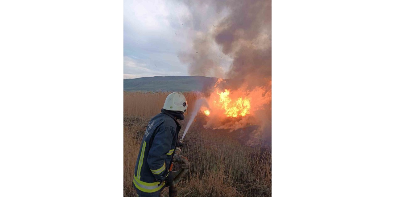 Van’da sazlık alanlarda yangın