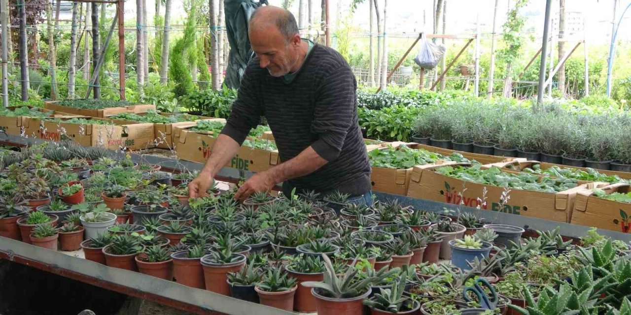 Artan çiçek satışları Hatay’da bu sefer yüz güldürmedi