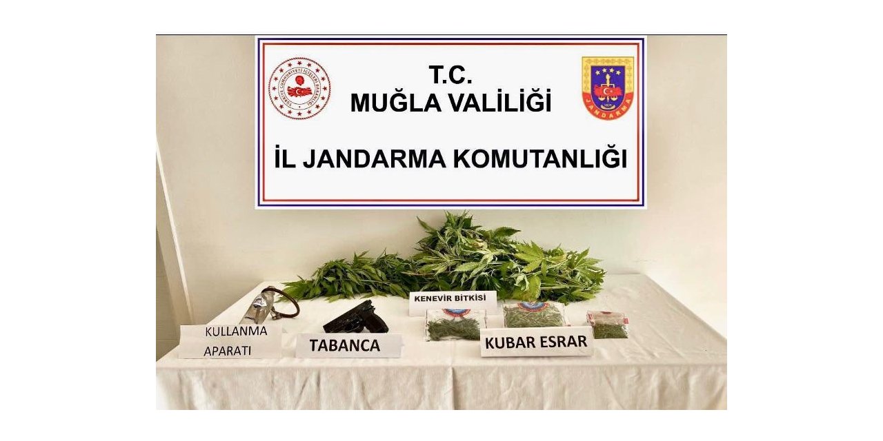 Uyuşturucu operasyonunda 1 gözaltı