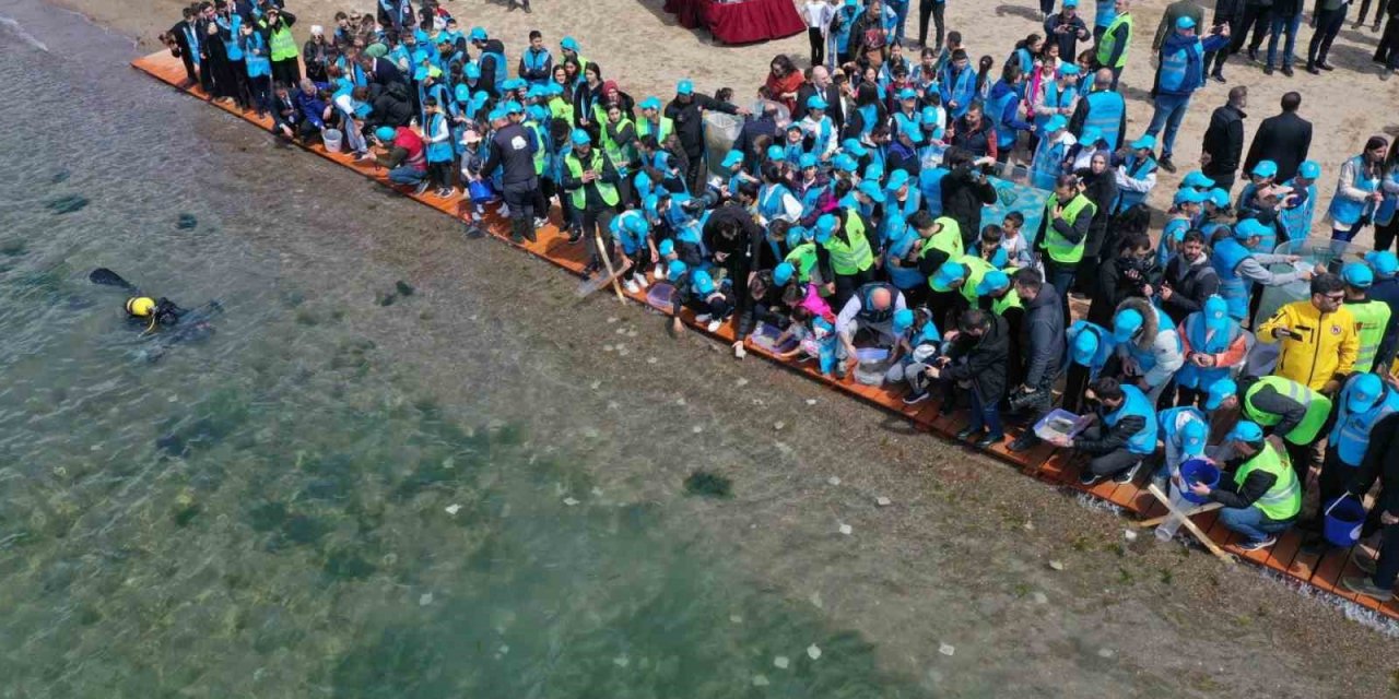 Binlerce yavru balık İzmit Körfezi’ne salındı: Adım adım izlenecekler