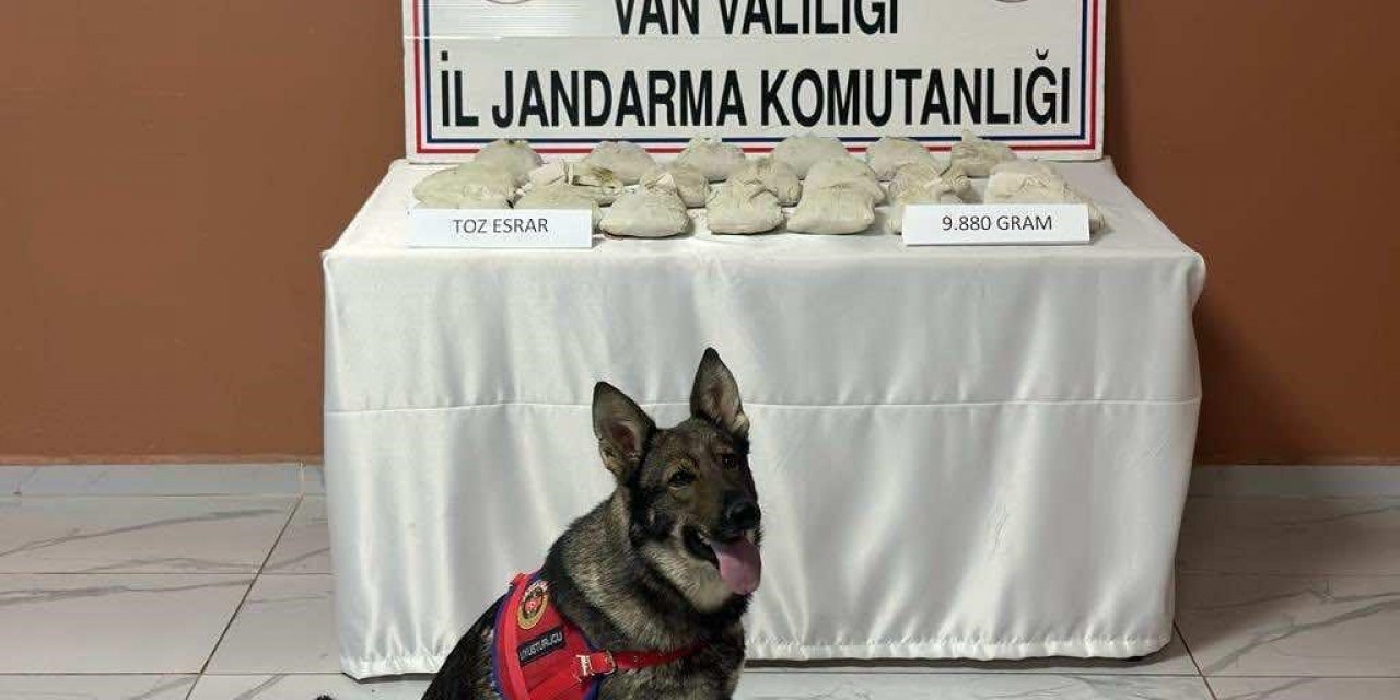 Van’da 9 kilo 880 gram toz esrar ele geçirildi