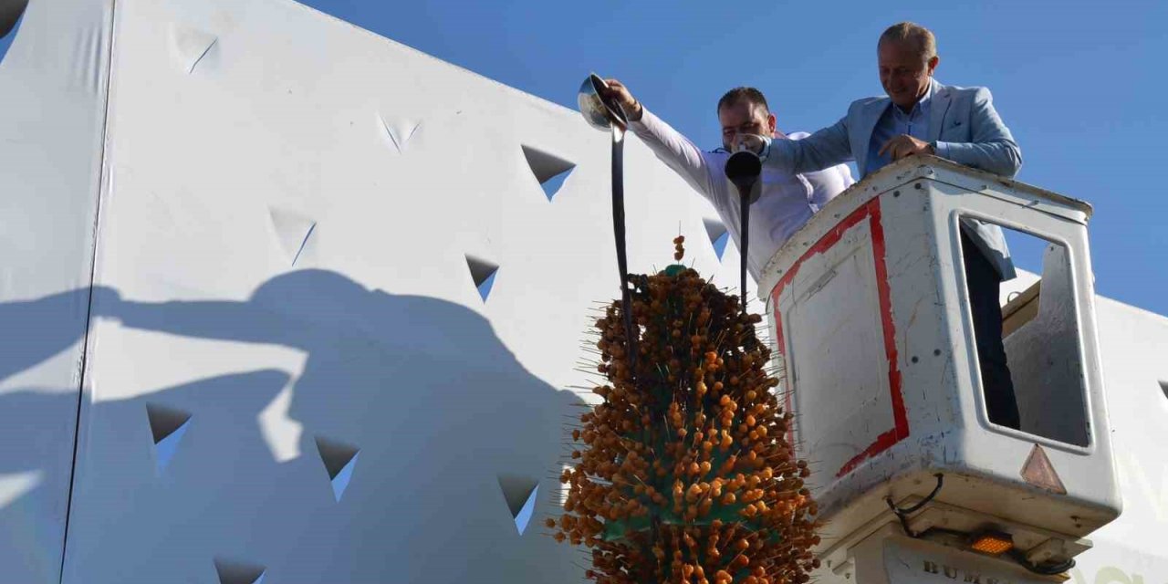 Didim Vegan Festivali’nde yeni rekor denemesi yapıldı