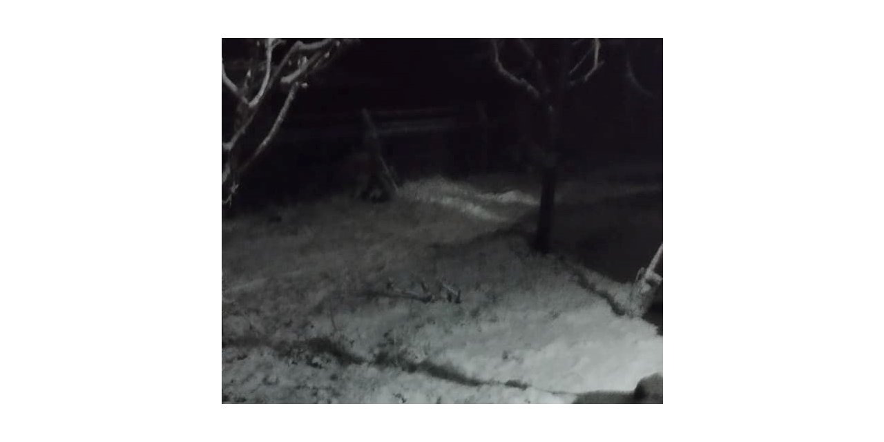 Malatya’ya nisan ayı yağan kar şaşırttı