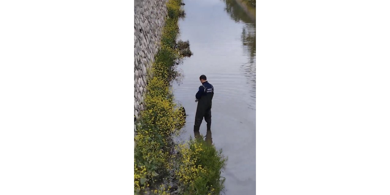 Bursa’da dereye düşen köpeğin imdadına itfaiye yetişti