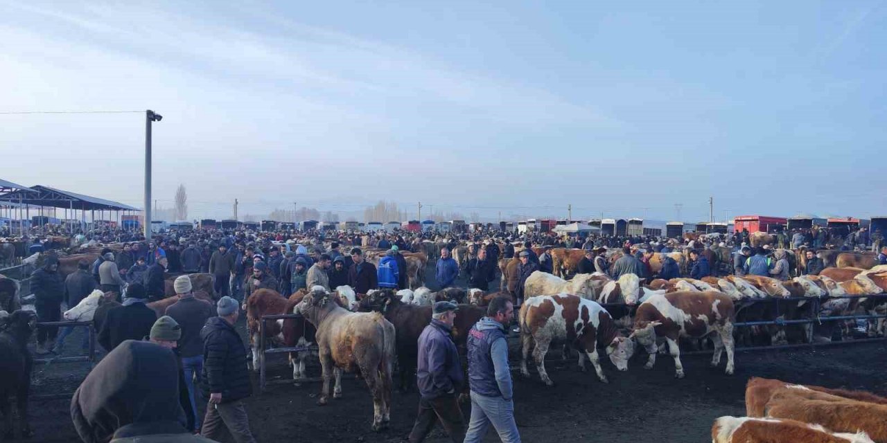 Şap tehlikesiyle kapatılmıştı, açılmasına günler kaldı