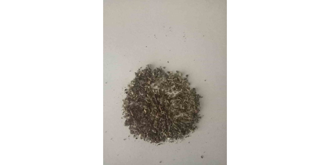 Aydın’da uyuşturucu kullanan 8 şüpheli yakalandı