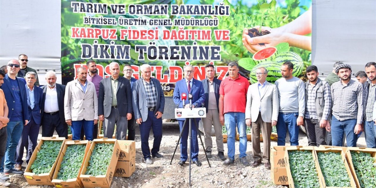 Diyarbakır’da 115 bin karpuz fidesi dağıtıldı