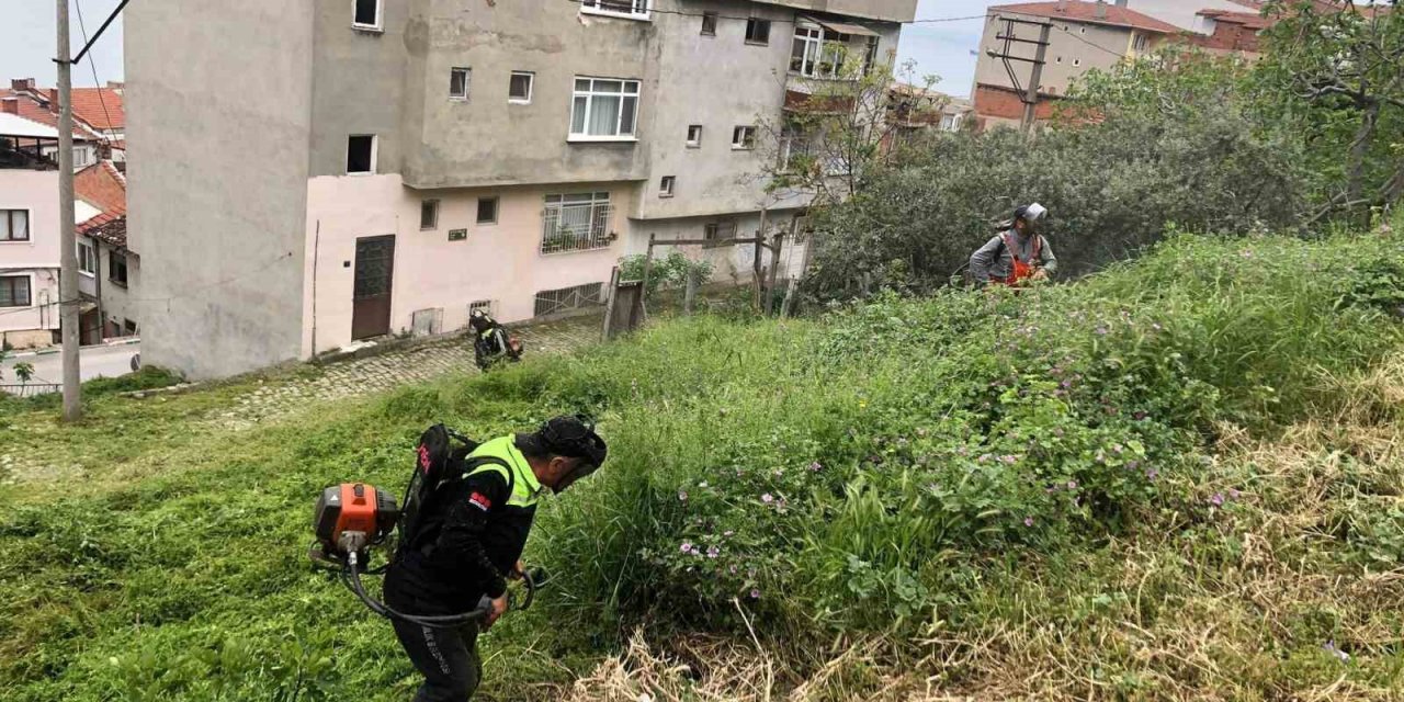 Gemlik’te bahar mesaisi