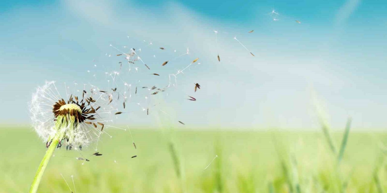 Bahar aylarında göz alerjisine dikkat