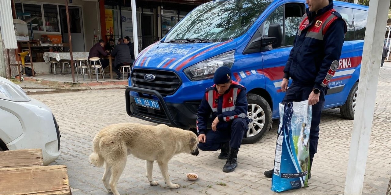 Jandarma ekipleri can dostları unutmuyor