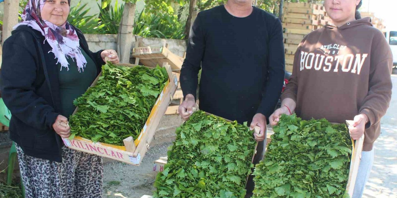 Üzümden önce yaprağı gelir kapısı oldu