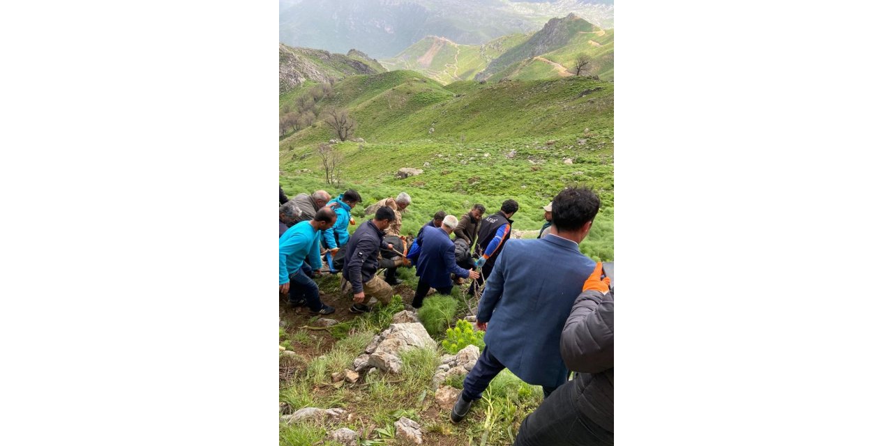 Siirt’te yaban bitkisi toplarken kayalıklardan düşen 60 yaşındaki adam öldü