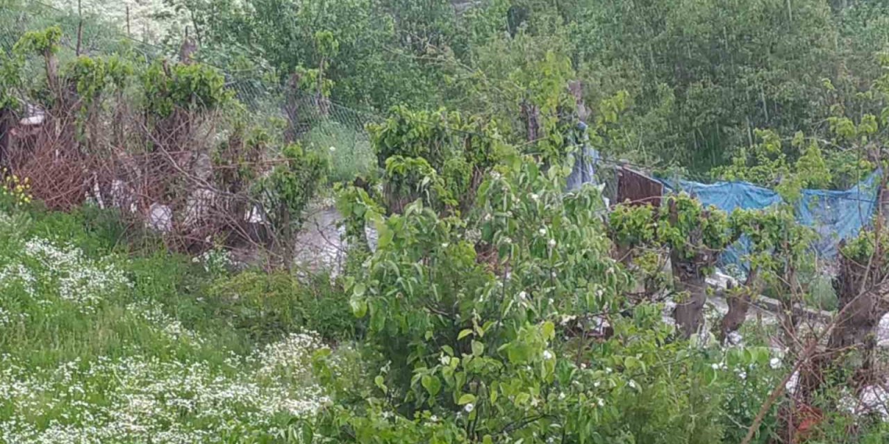 Silvan’da sağanak ve dolu yağışı etkili oldu